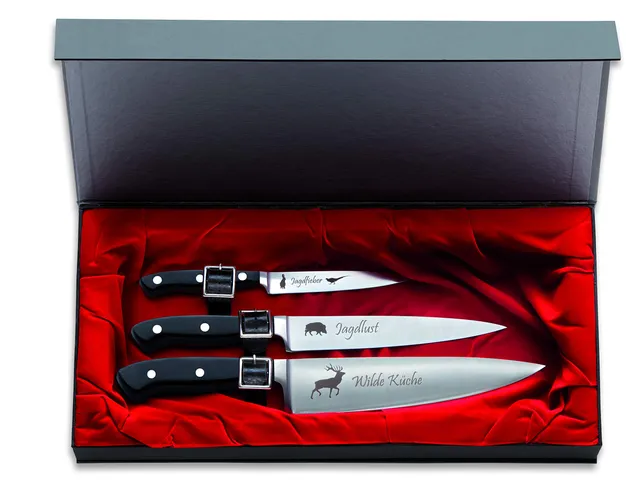 f-dick-premier-plus-81099000-messerset-3-tlg-jagd image 1