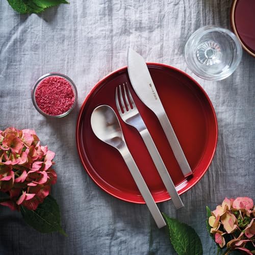 dick-pure-metal-tafell-ffel-set-4-teilig-seidenmatt-suppe image 8