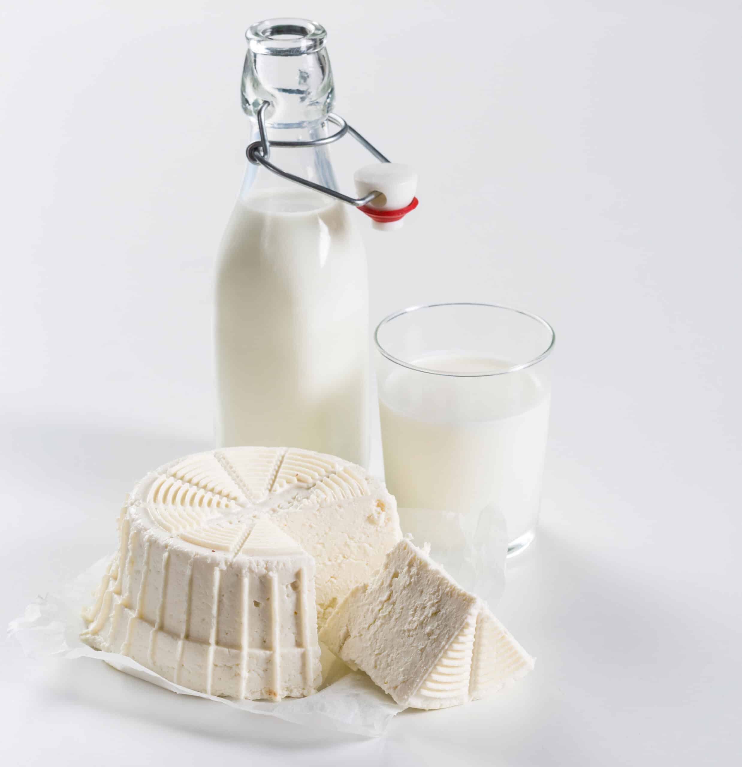 b-rner-v5-powerline-cheesemaker-k-semaker-f-r-frischk-se image 3